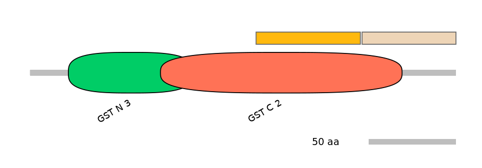 GgaINT1009602-EXC