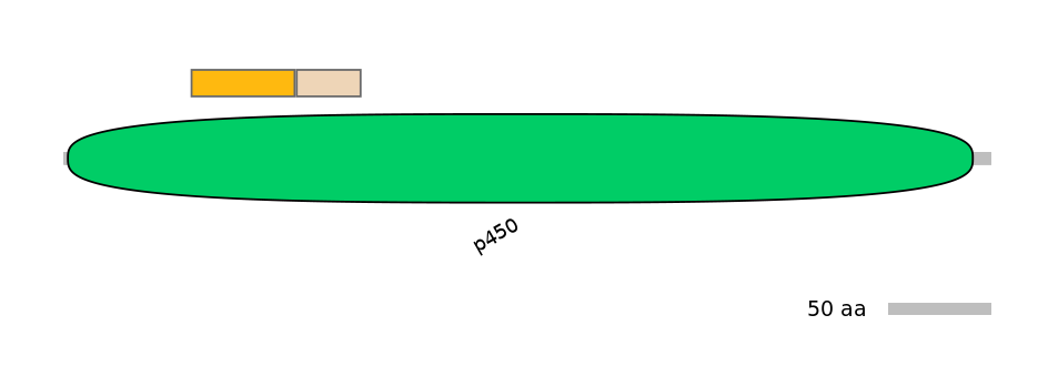 GgaINT1010885-EXC