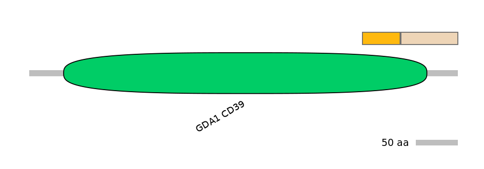 GgaINT1012323-EXC