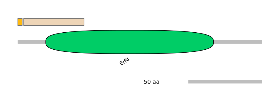 GgaINT1014052-EXC