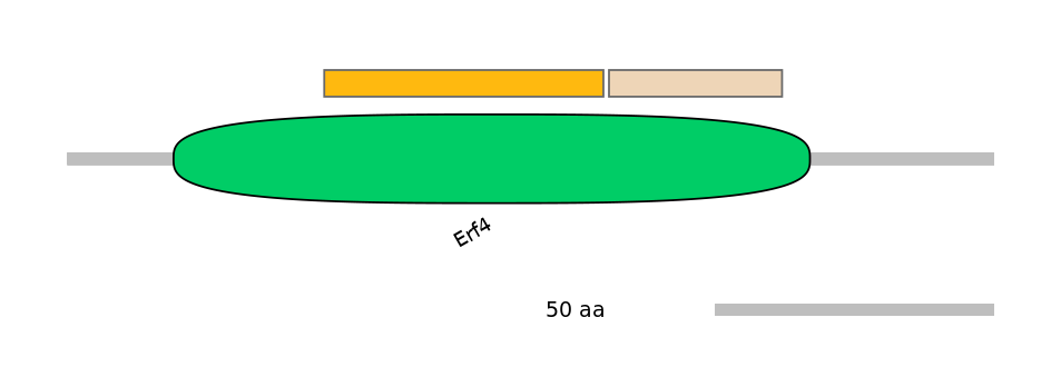GgaINT1014054-EXC