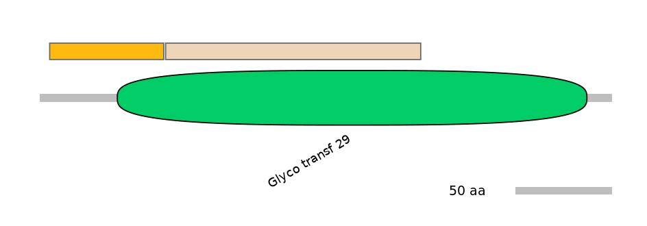 GgaINT1026495-EXC