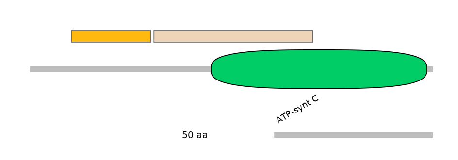 HsaALTA0000808-2_2-EXC