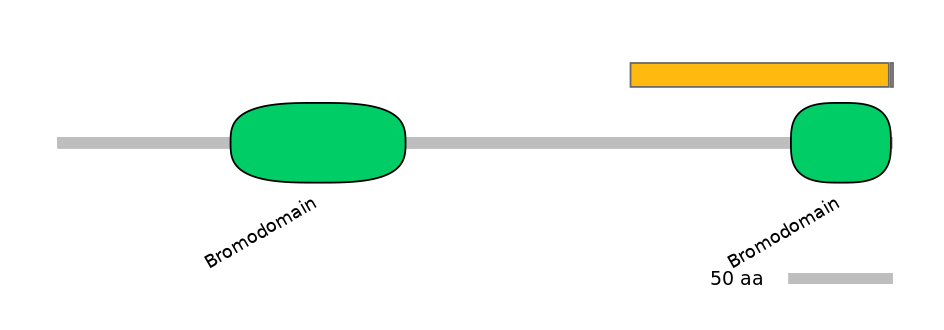 HsaALTA0000979-1_3-EXC
