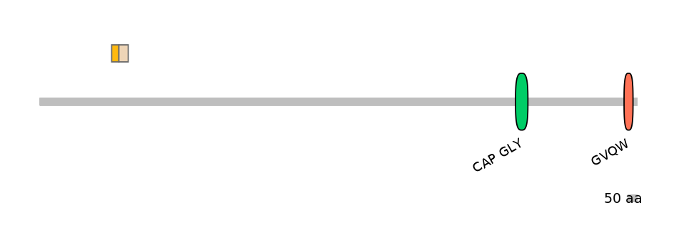 HsaALTA0001803-1_2-EXC