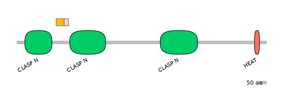 HsaALTA0001892-1_2-EXC