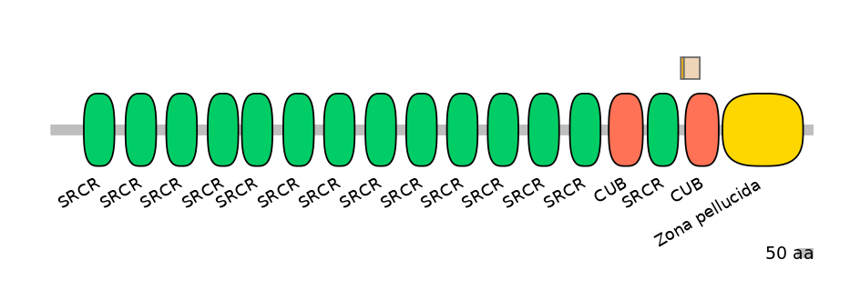 HsaALTA0002537-1_2-EXC