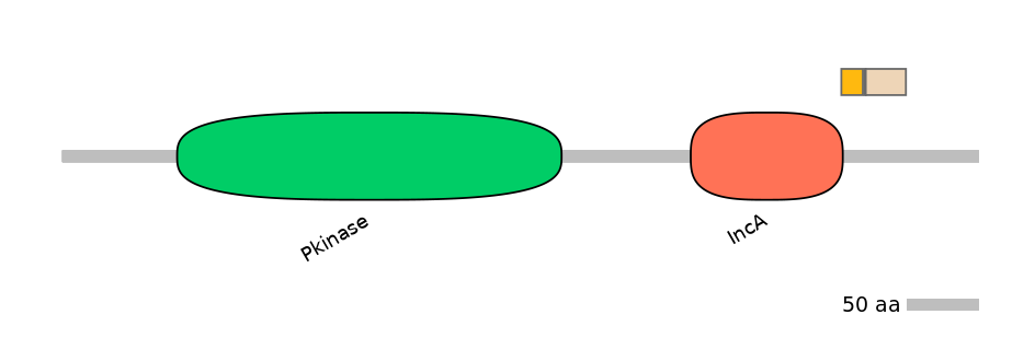 HsaALTA0002543-2_2-INC