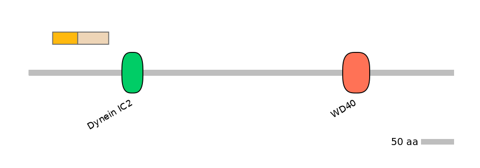 HsaALTA0002702-1_2-EXC