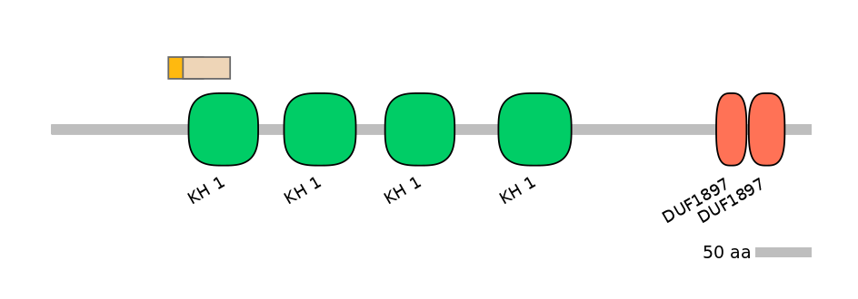 HsaALTA0003495-1_2-EXC