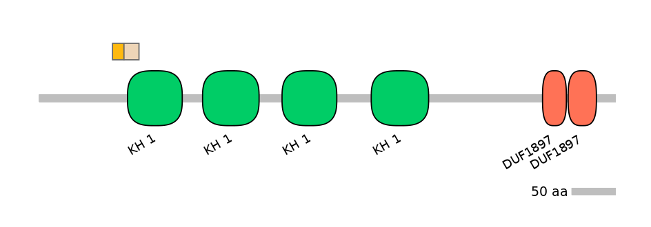 HsaALTA0003495-1_2-INC