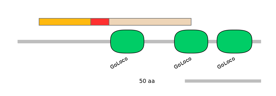 HsaALTA0003787-2_2-INC