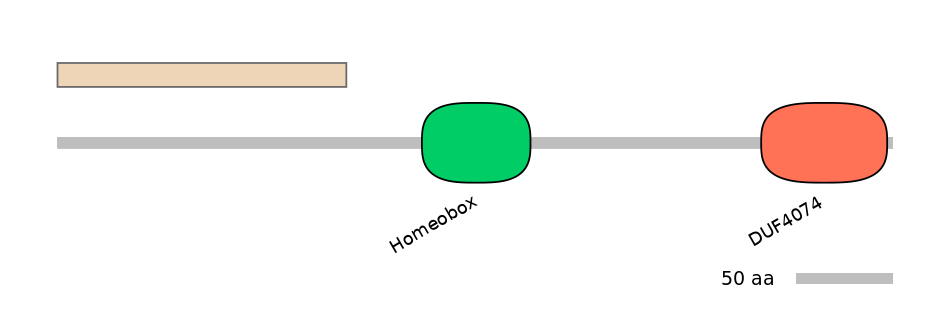HsaALTA0004087-1_3-EXC