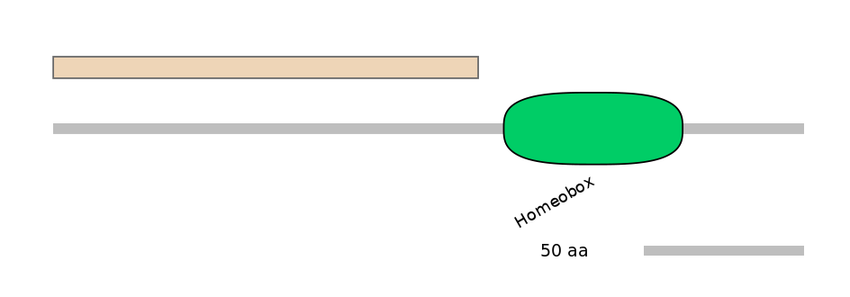 HsaALTA0004090-1_2-EXC