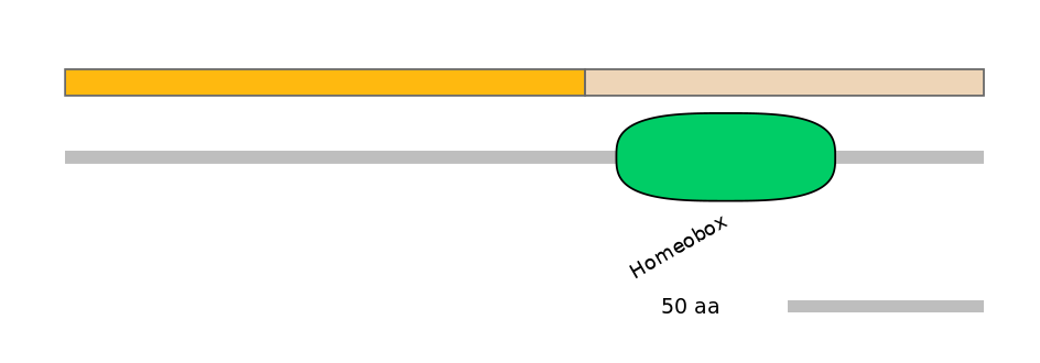 HsaALTA0004091-2_2-EXC