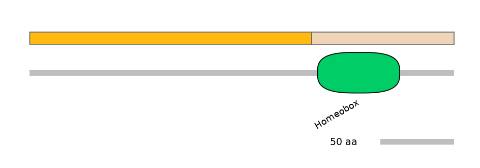 HsaALTA0004092-2_2-EXC