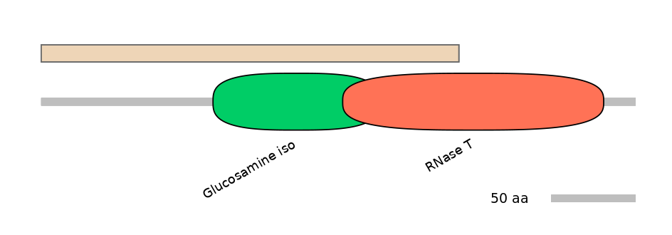 HsaALTA0004366-1_2-EXC