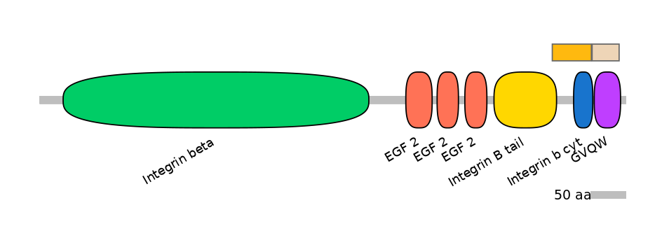 HsaALTA0004397-1_2-EXC