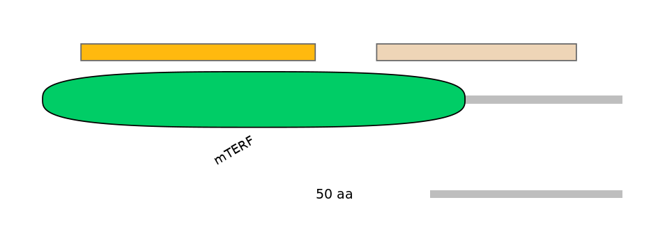 HsaALTA0005407-1_2-EXC