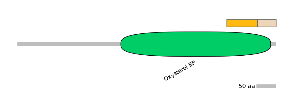 HsaALTA0005976-1_2-EXC