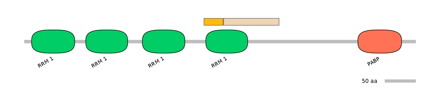 HsaALTA0006021-1_2-EXC