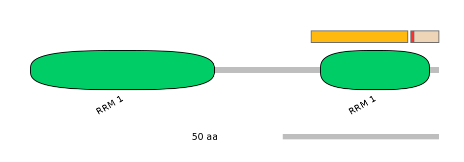 HsaALTA0006021-2_2-INC