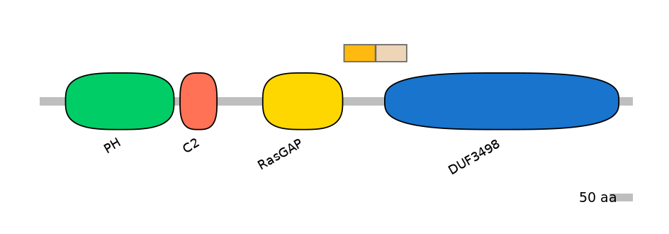 HsaALTA0007008-1_2-EXC