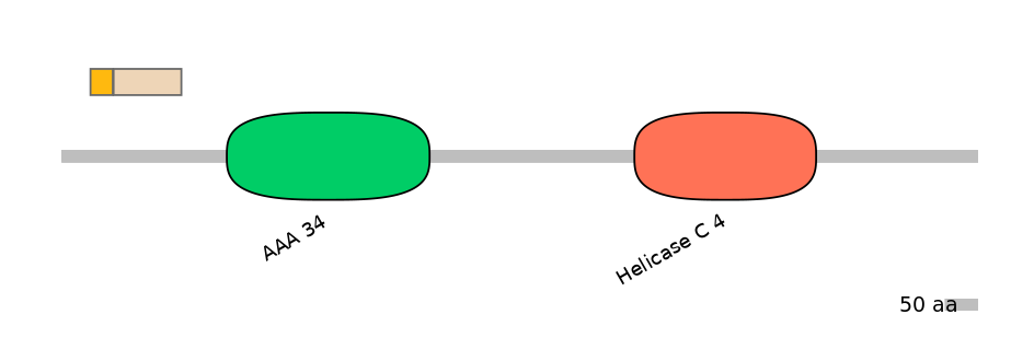 HsaALTA0007504-1_2-INC