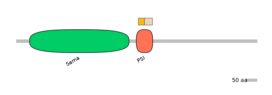 HsaALTA0007604-1_2-EXC