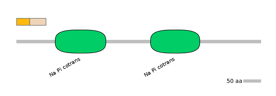HsaALTA0007936-1_2-EXC