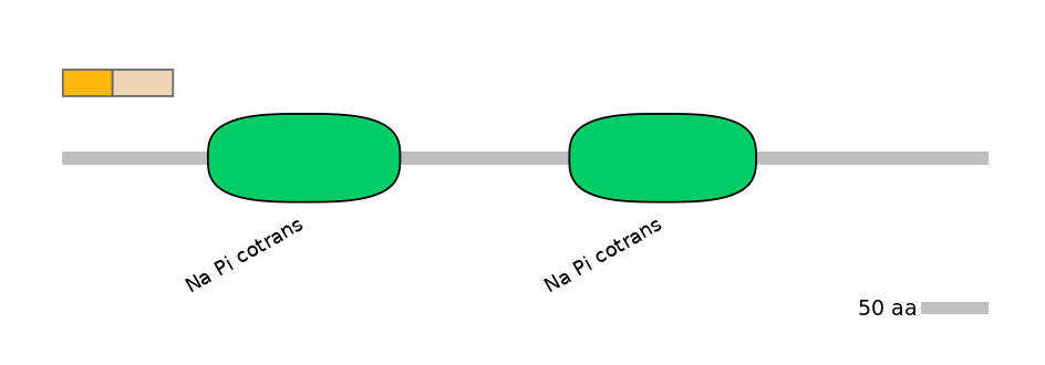 HsaALTA0007936-1_2-INC
