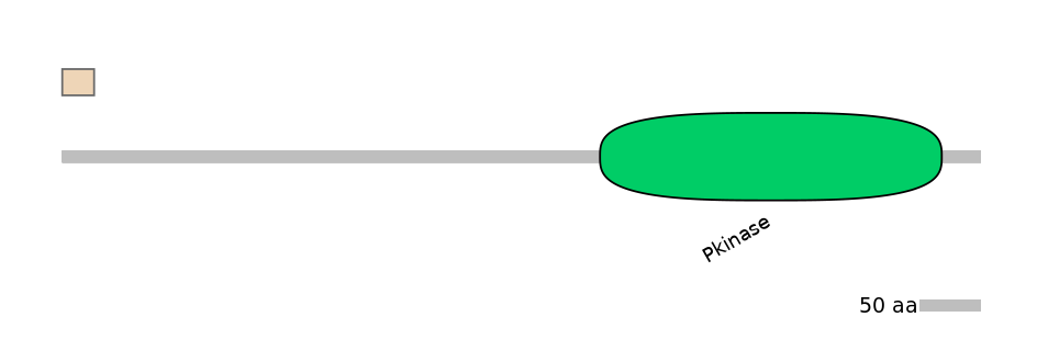 HsaALTA0008683-2_2-INC