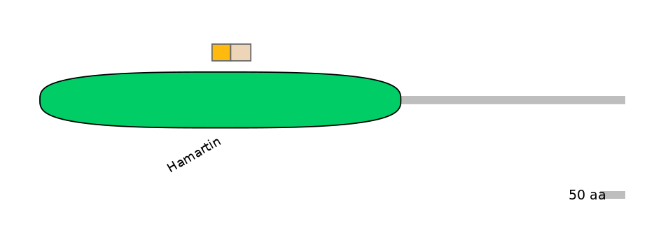 HsaALTA0009047-1_2-EXC