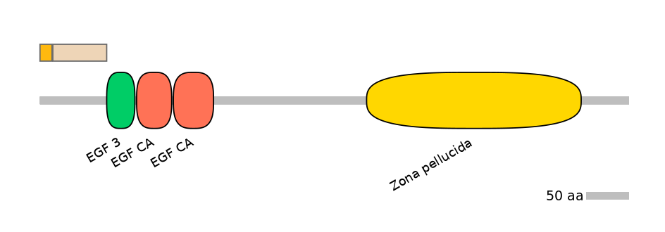 HsaALTA0009293-1_2-EXC
