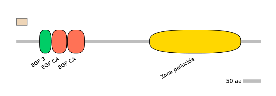 HsaALTA0009293-1_2-INC
