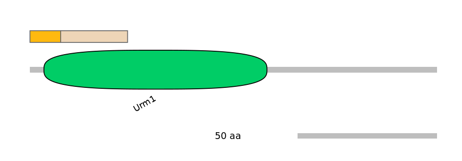 HsaALTA0009318-1_2-INC