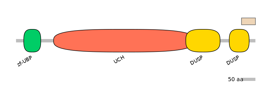 HsaALTA0009332-1_2-EXC