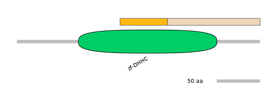 HsaALTA0009653-1_3-EXC