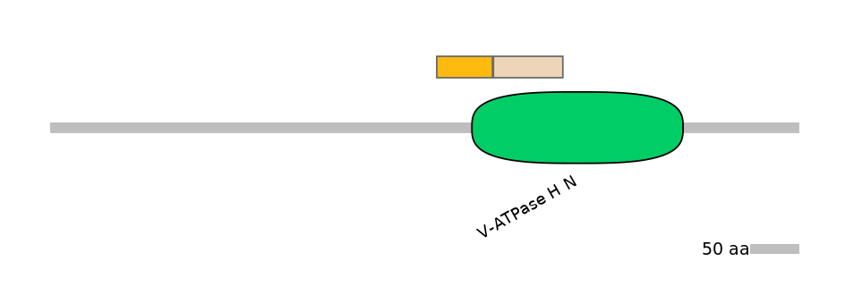 HsaALTA0009673-1_2-EXC