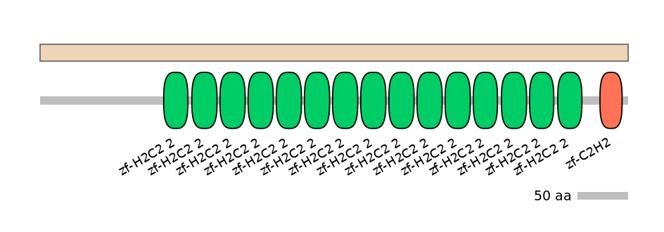 HsaALTA0009765-1_2-EXC