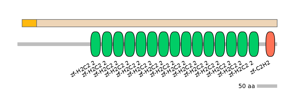 HsaALTA0009765-2_2-EXC