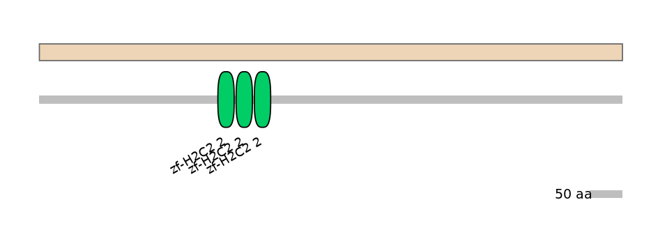 HsaALTA0009780-1_2-EXC