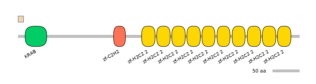 HsaALTA0009830-1_2-EXC