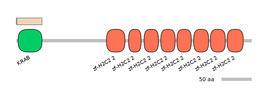 HsaALTA0009910-1_2-INC