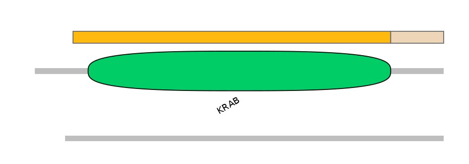 HsaALTA0009912-1_2-EXC