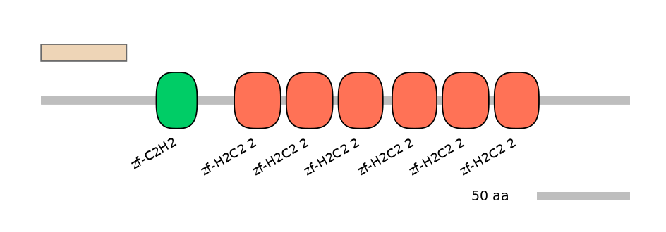 HsaALTA0009913-2_2-EXC