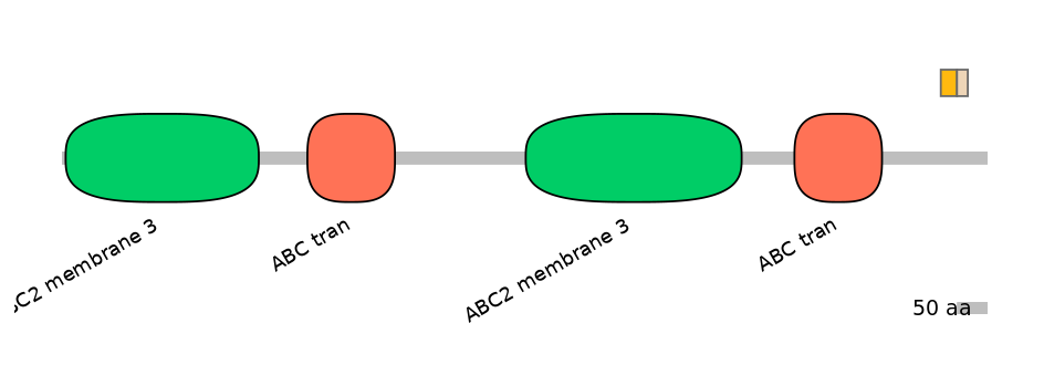 HsaALTD0000018-1_2-EXC