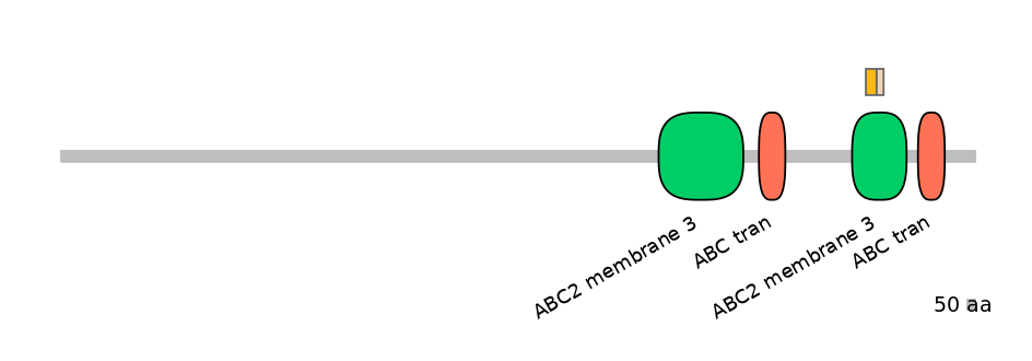 HsaALTD0000019-1_2-EXC