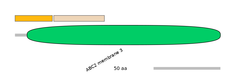 HsaALTD0000019-2_2-EXC