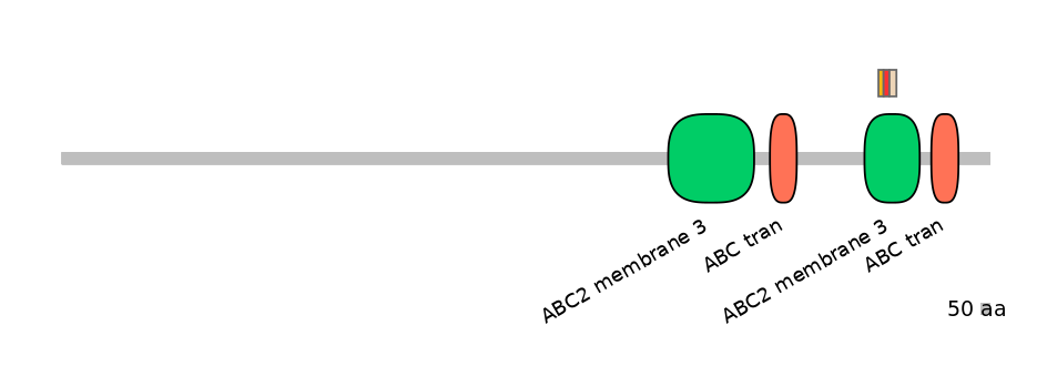 HsaALTD0000019-2_2-INC